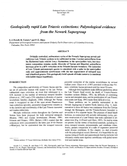 Download a .pdf of this paper (2.3 MB).