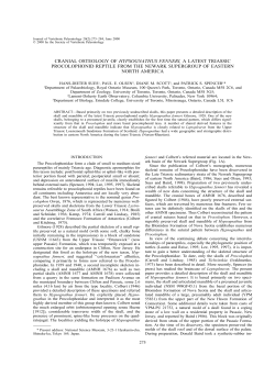 Download a .pdf of this paper