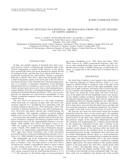 Download a pdf of this paper.