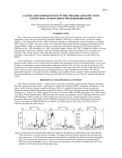 download a ,pdf of this paper (3.8 MB)
