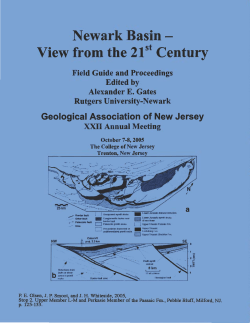 download a .pdf of this paper: 0.7 MB