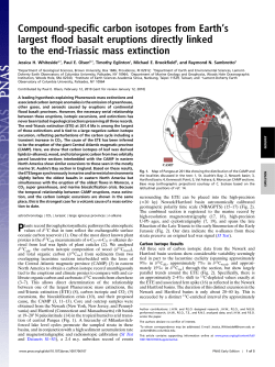 download a .pdf of this paper: 0.8 MB