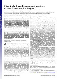 download a .pdf of this paper: 4.4 MB