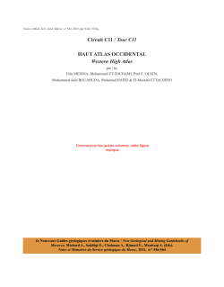 download a .pdf of this paper: 2.3 MB