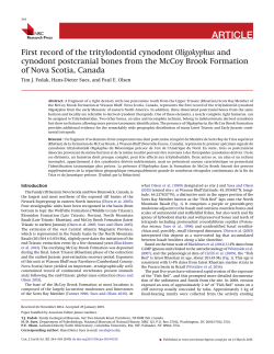 download a .pdf of this paper: 3.5 MB