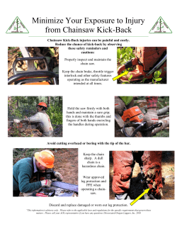 Chainsaw