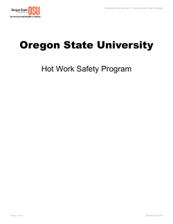 Hot Work (SAF 214 pending)