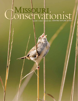 Download the current issue