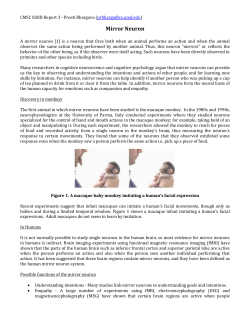 Mirror Neurons