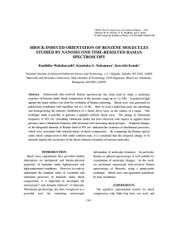 1263.PDF