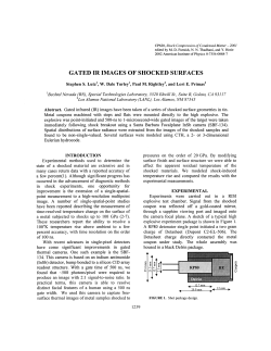 1239.PDF