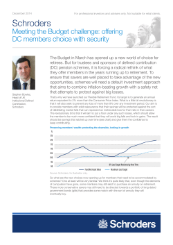 Meeting the Budget challenge: offering DC members choice with security