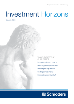 Investment Horizons: Issue 4