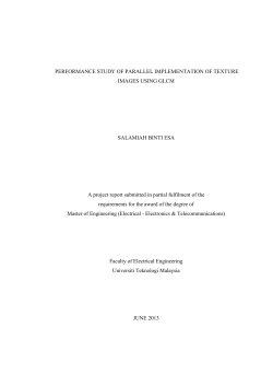 SalmiahEsaMFKE2013ABS