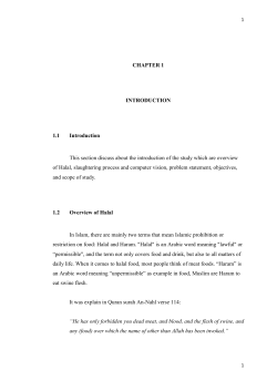 MohammadFitriAlifMFKE2013 CHAP1