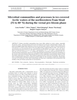 Full text in pdf format