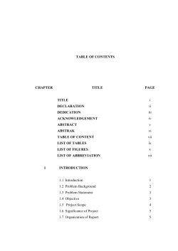 MohamadAnimMisiranMFKE2013TOC