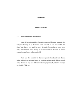 MardianaMuhamadIsaMFS2012CHAP1