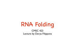 RNA Folding