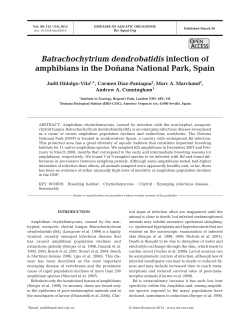 Full text in pdf format