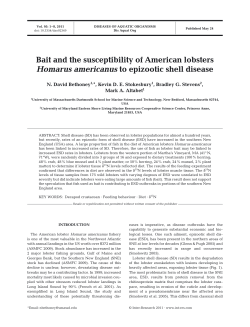 Full text in pdf format