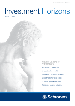 Investment Horizons: Issue 2