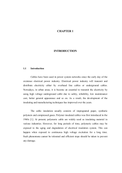 MohdHafiezIzzwanMFKE2013CHAP1