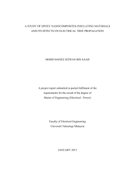 MohdHafiezIzzwanMFKE2013ABS