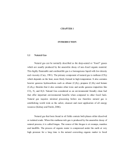 HazwanFaizAbdRahimMFS2012CHAP1