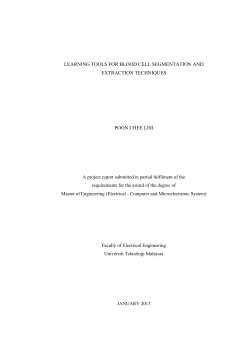 PoonCheeLimMFKE2013ABS