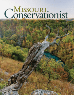 Download the current issue