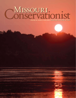 Download the current issue