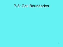 Ch. 7.3 and 7.4 Cell Boundaries PowerPoint Notes