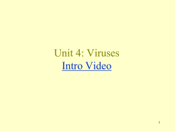 Unit 4 - Viruses