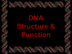 DNA History and Structure