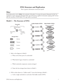 DNA POGIL Activity