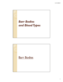 Barr Bodies and Blood Types