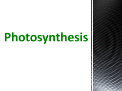 Photosynthesis