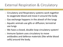 Organ Systems Bullet Points