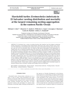 Full text in pdf format