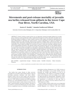 Full text in pdf format