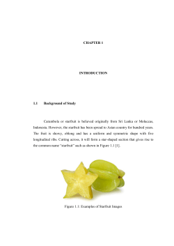 RahmanAmirulahMFKE2012CHAP1