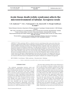 Full text in pdf format