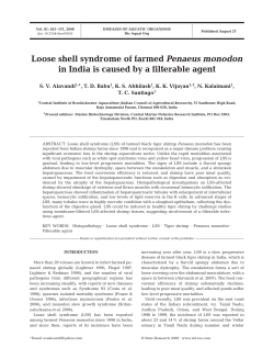 Full text in pdf format