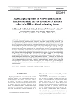 Full text in pdf format