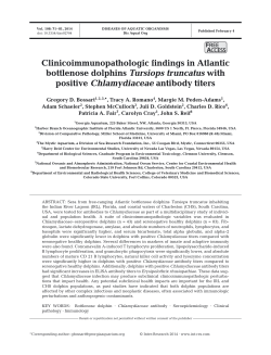 Full text in pdf format