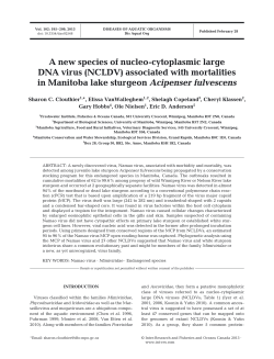 Full text in pdf format