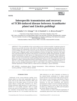 Full text in pdf format