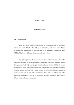 MuhammadAsrafMansorMFKE2012CHAP1