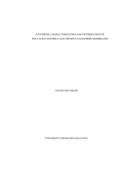 AgungMataramPFKK2012ABS